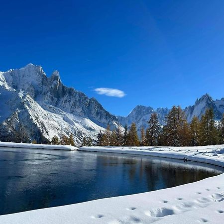 Happy Moose - Cosy Mont Blanc View Apartment Chamonix Esterno foto