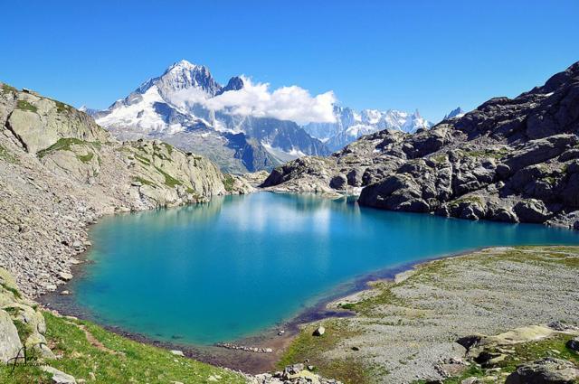 Happy Moose - Cosy Mont Blanc View Apartment Chamonix Esterno foto