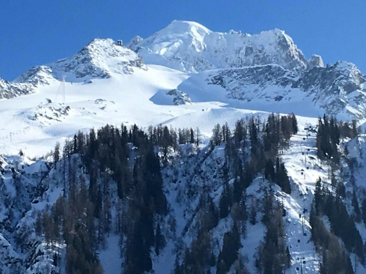 Happy Moose - Cosy Mont Blanc View Apartment Chamonix Esterno foto