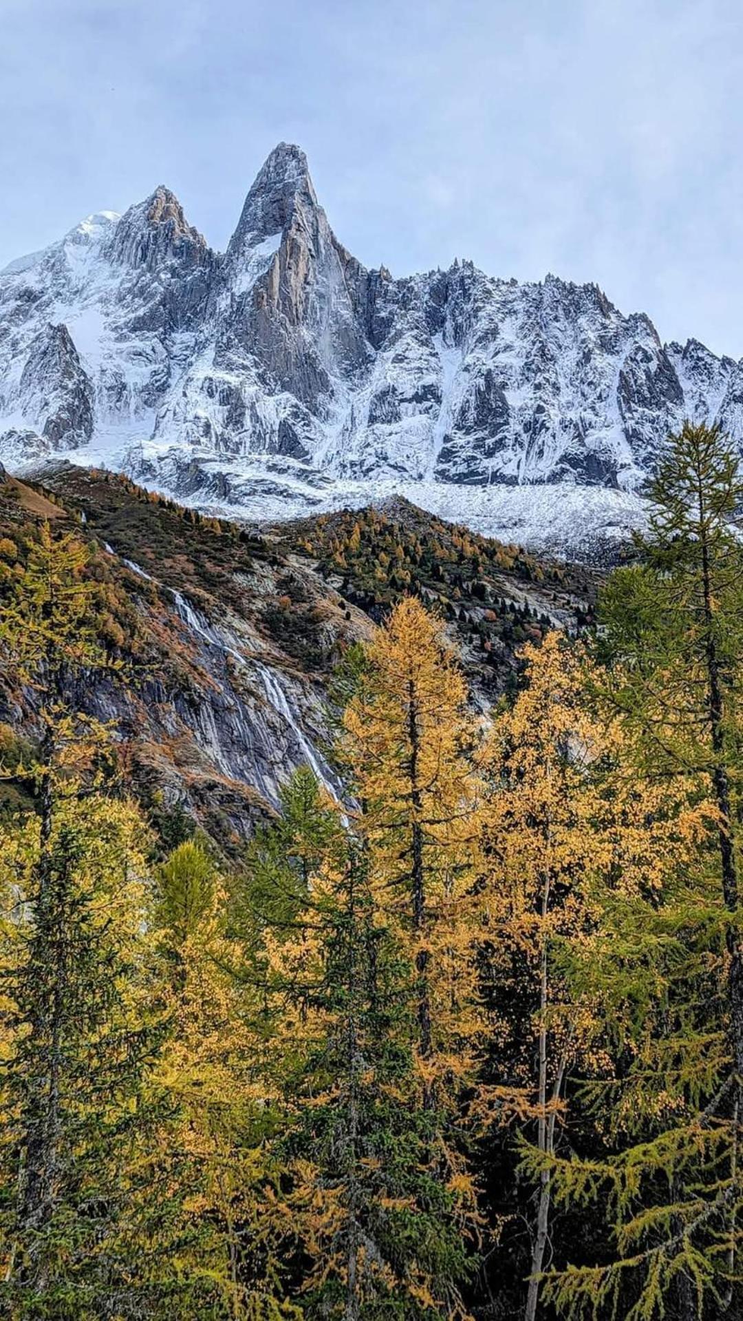 Happy Moose - Cosy Mont Blanc View Apartment Chamonix Esterno foto