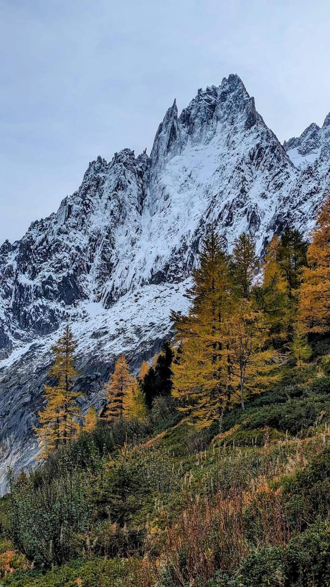 Happy Moose - Cosy Mont Blanc View Apartment Chamonix Esterno foto