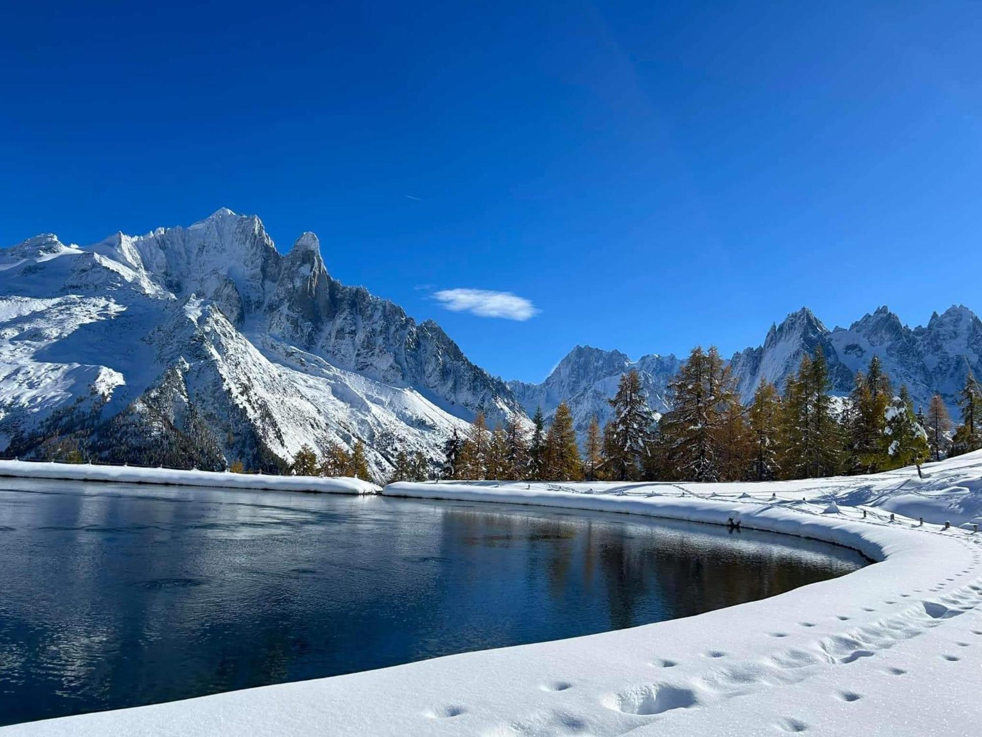 Happy Moose - Cosy Mont Blanc View Apartment Chamonix Esterno foto