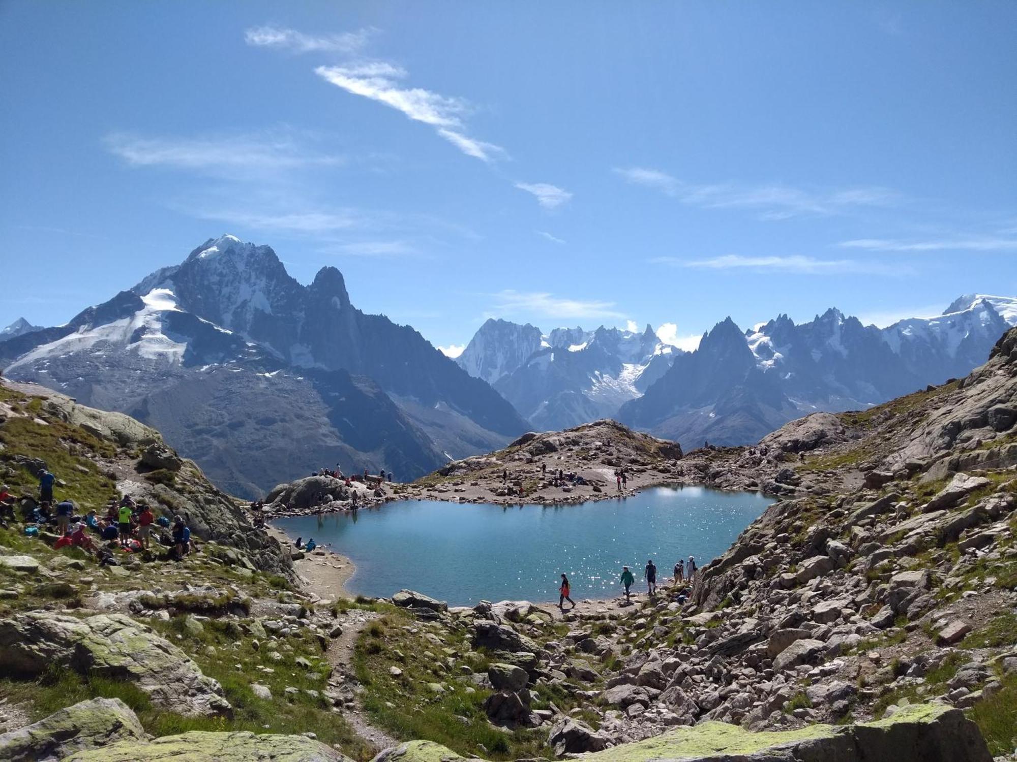 Happy Moose - Cosy Mont Blanc View Apartment Chamonix Esterno foto